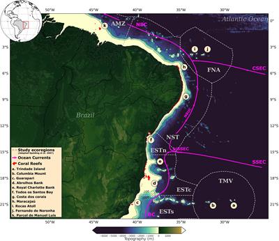 Connectivity patterns of Brazilian coral reefs associated with potential variation on thermal stress tolerance